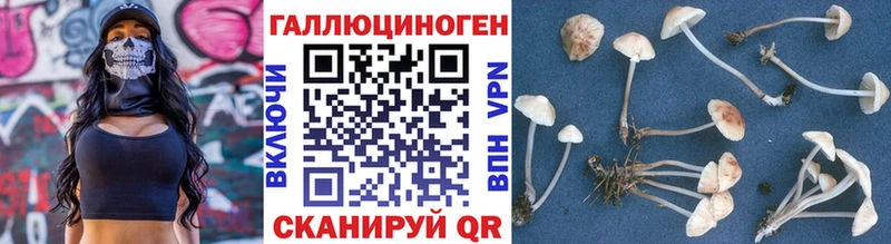 Галлюциногенные грибы Psilocybe Горячеводский